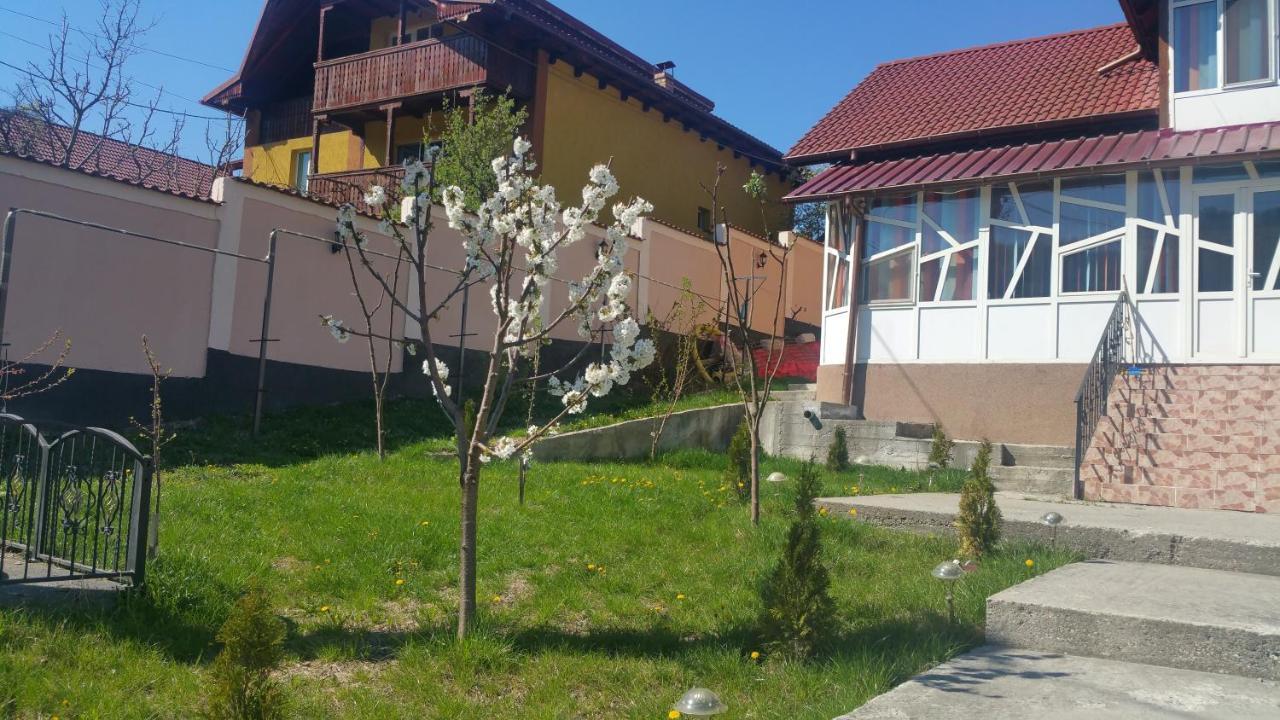 Casele Lena Bed & Breakfast Aldesti  Luaran gambar